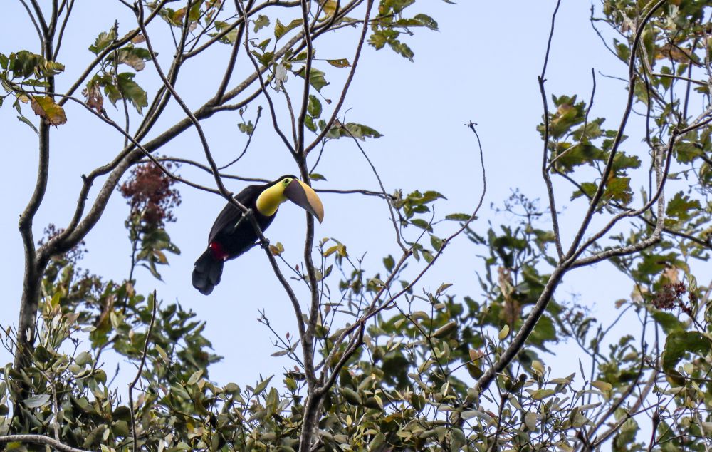 costa rica en famille